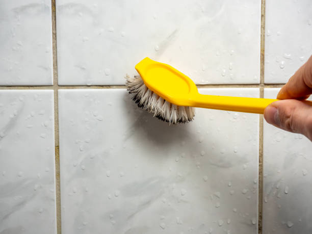 Best Same-Day Mold Removal  in Laingsburg, MI
