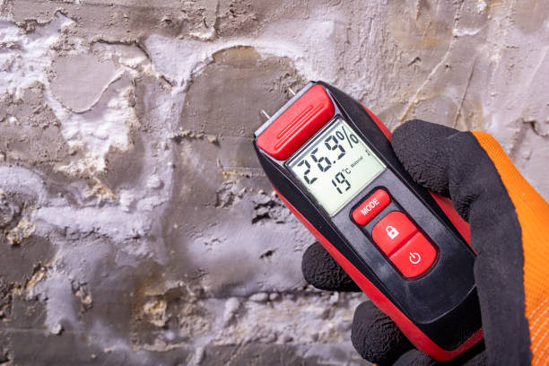 Best Professional Mold Removal  in Laingsburg, MI